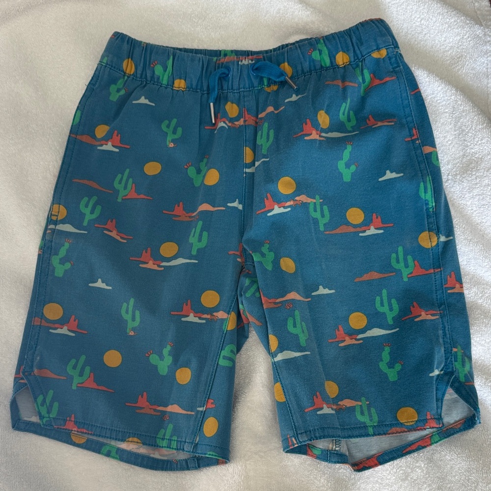 Hanna Andersson Kids Blue Cactus Print Shorts